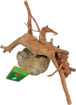 Boon Aqua Deco ornement bois d'araignée avec roche, 10-20 cm.