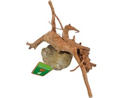 De Boon Spiderwood met rots | natuurlijk aquarium ornament | 10-20 cm
