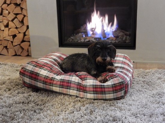 Housse pour coussin Dog's Companion pour chien - L - 115 x 85 cm - Robe Stewart