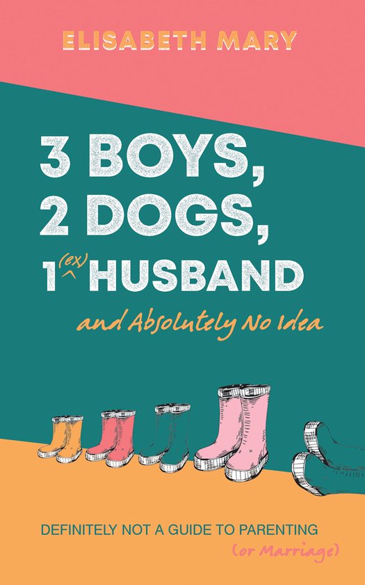3 Boys, 2 Dogs, 1 (Ex) Husband and Absolutely No Idea - cover