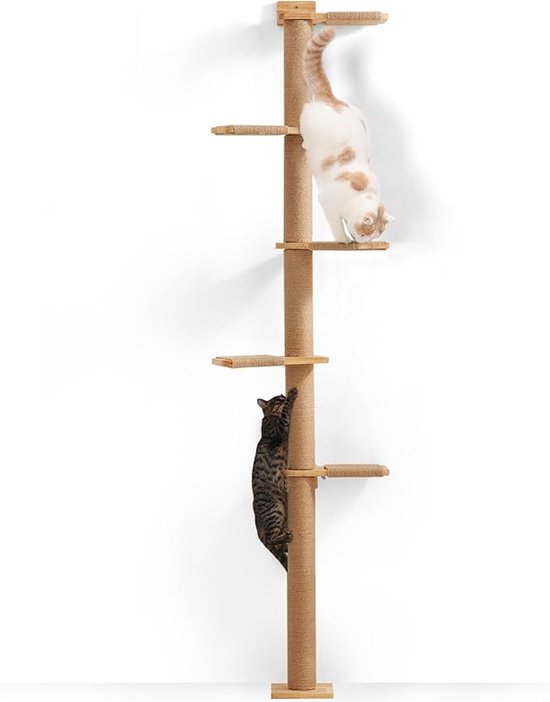 Hoge kattenboom, 5 niveaus, kattentoren van vloer tot plafond, aan de Hoge kattenboom, 5 niveaus, kattentoren van vloer tot plafond, aan de