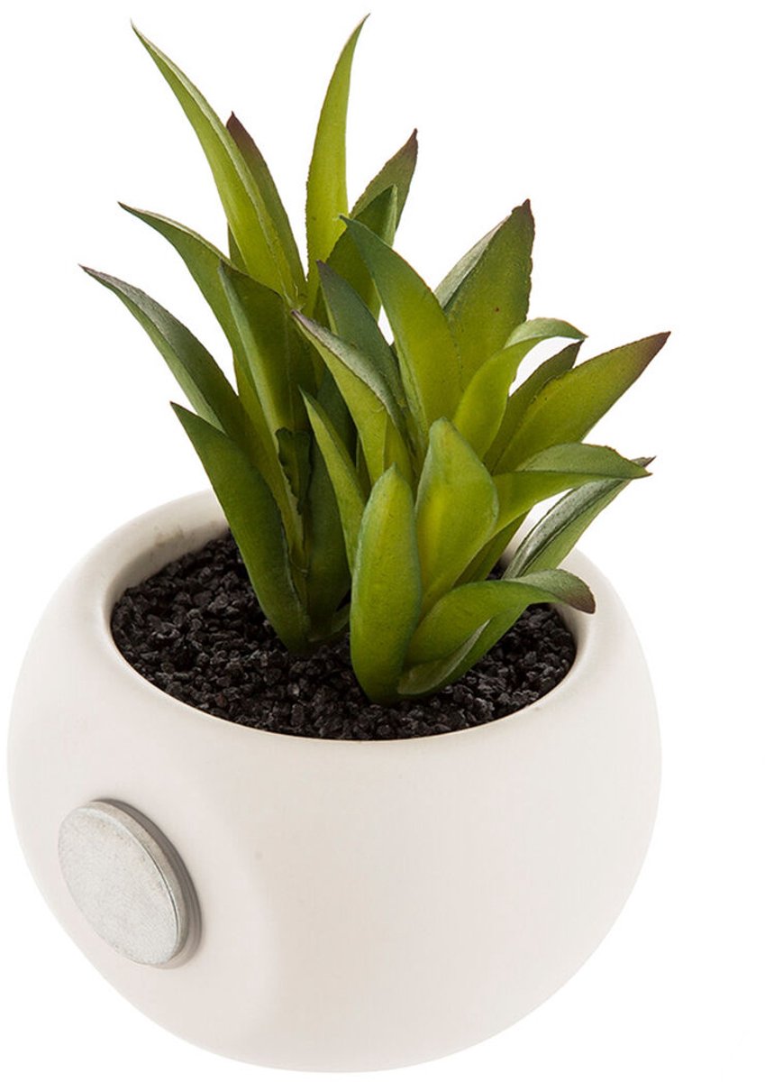 Decoratieve plant Atmosphera Magneet PVC