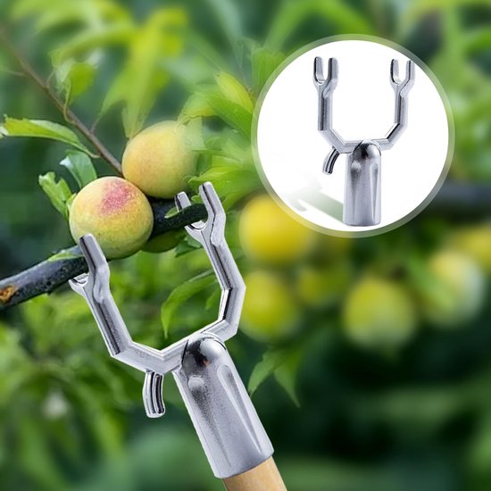 Dussdote Boomstandaard - 8 stuks - Metalen takklemmen - Voor fruitbomen - Boompalen - Plantenstandaard - Voor het ondersteunen van fruitboomtakken, boomgaarden van Merkloos	 — afbeelding 3