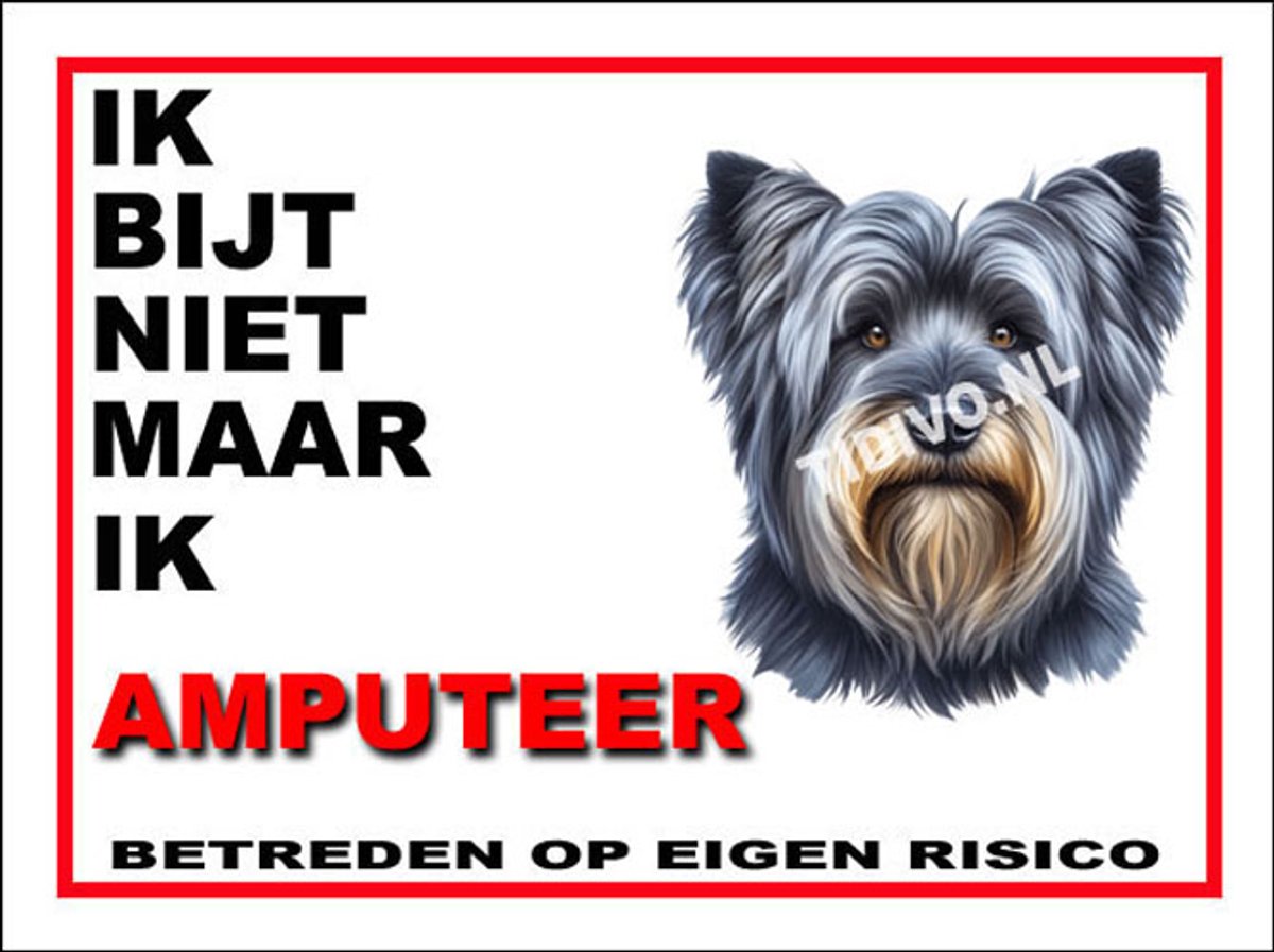 Skye Terrier 5