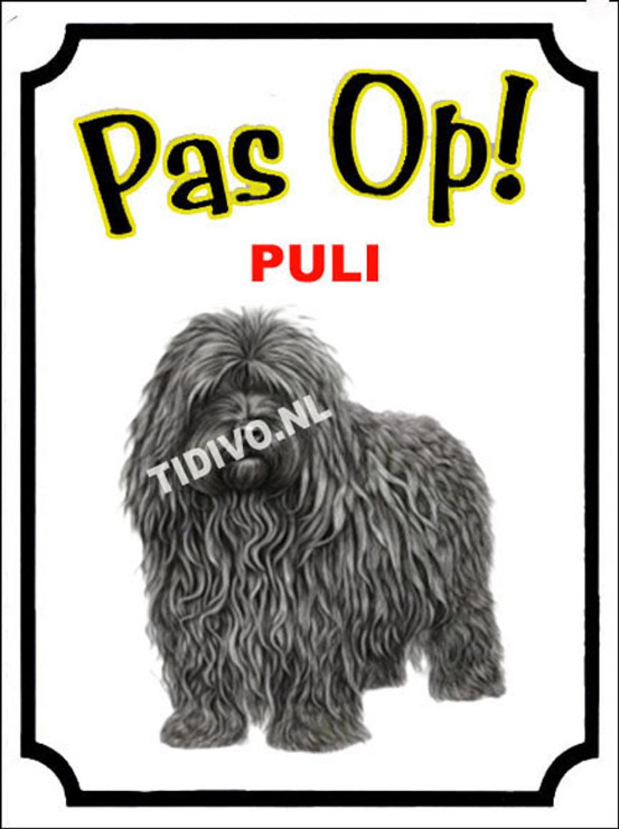 Puli 16