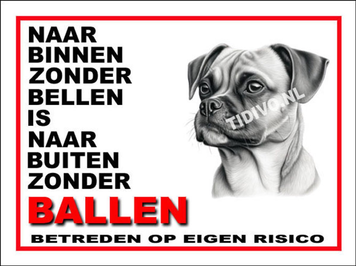 Puggle 11