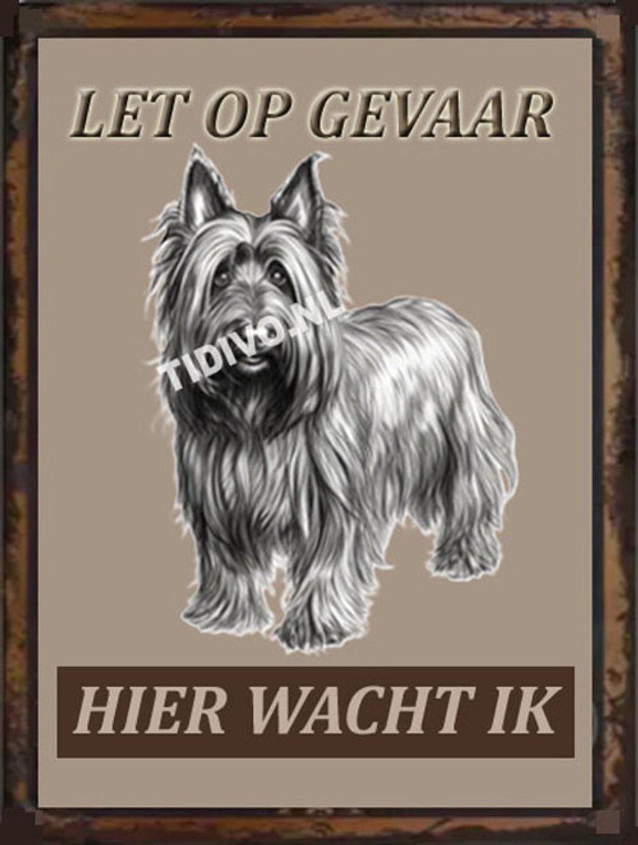 Skye Terrier 18