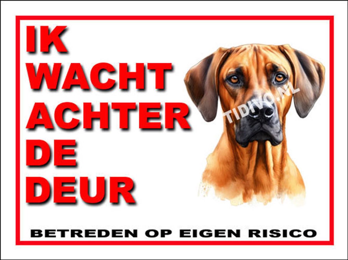 Rhodesian Ridgeback 10