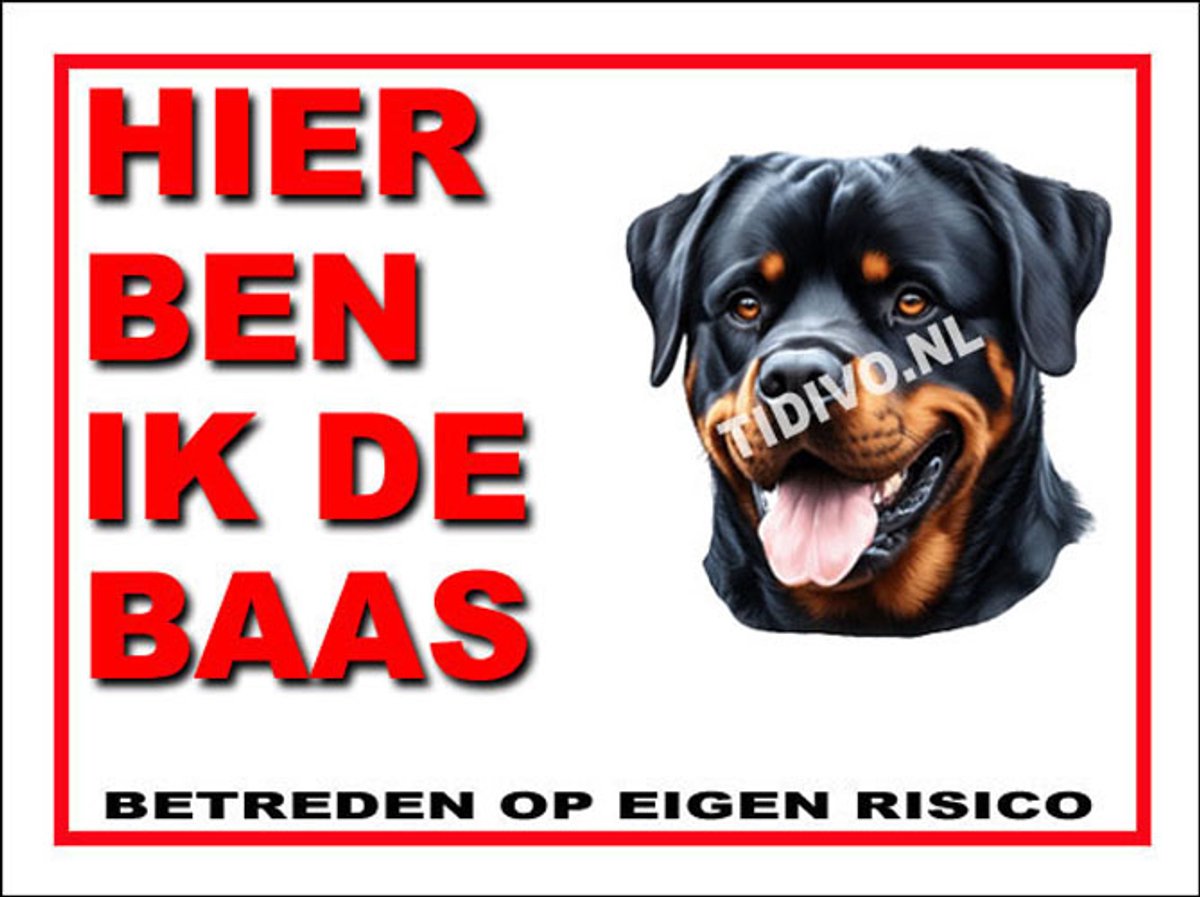 Rottweiler 2