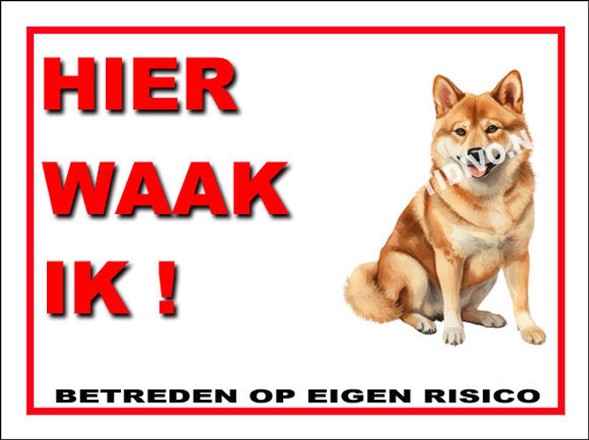 Shiba 3