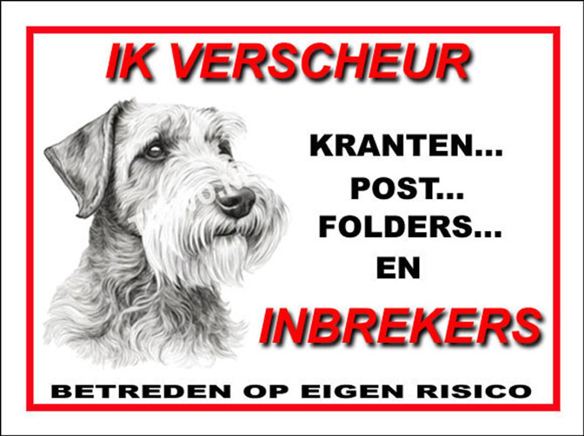 Sealyham Terrier 8