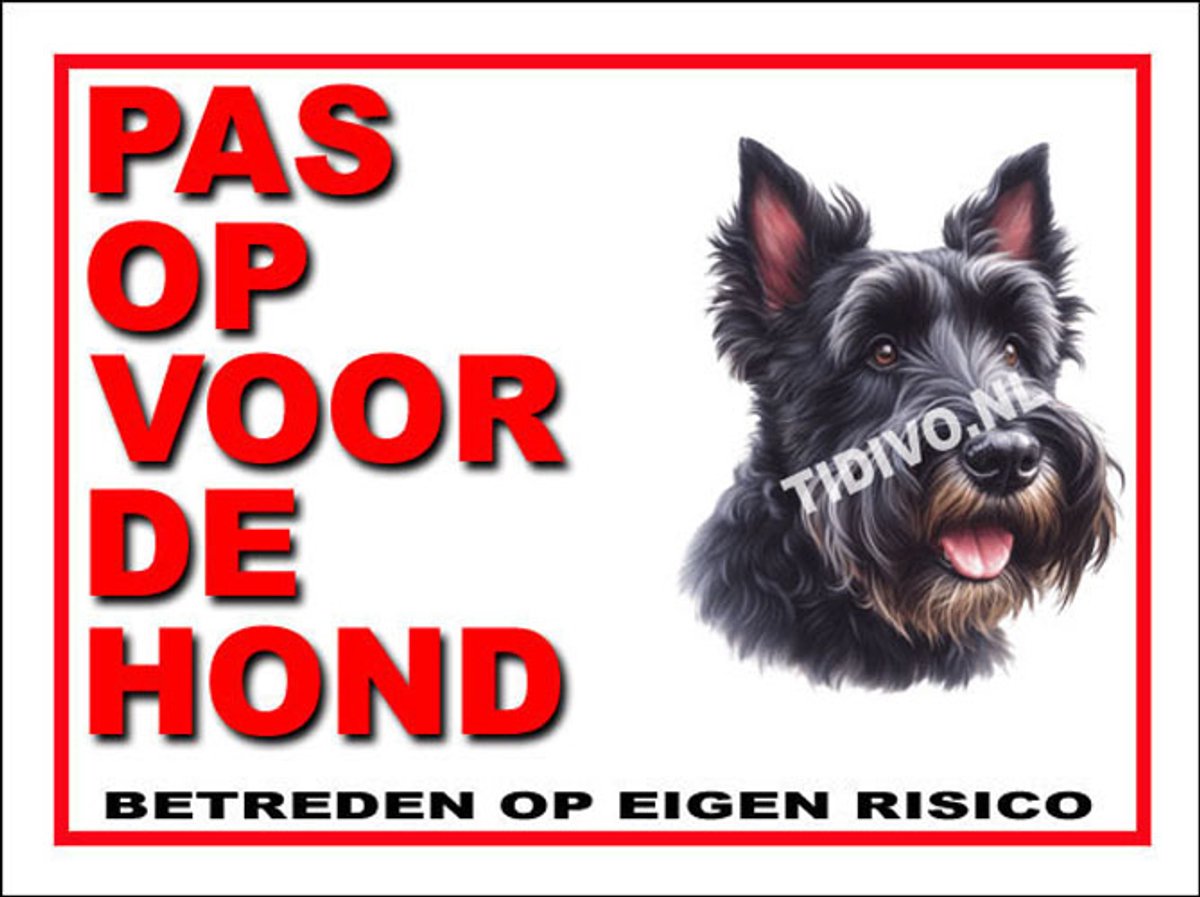 Schotsche Terrier 13