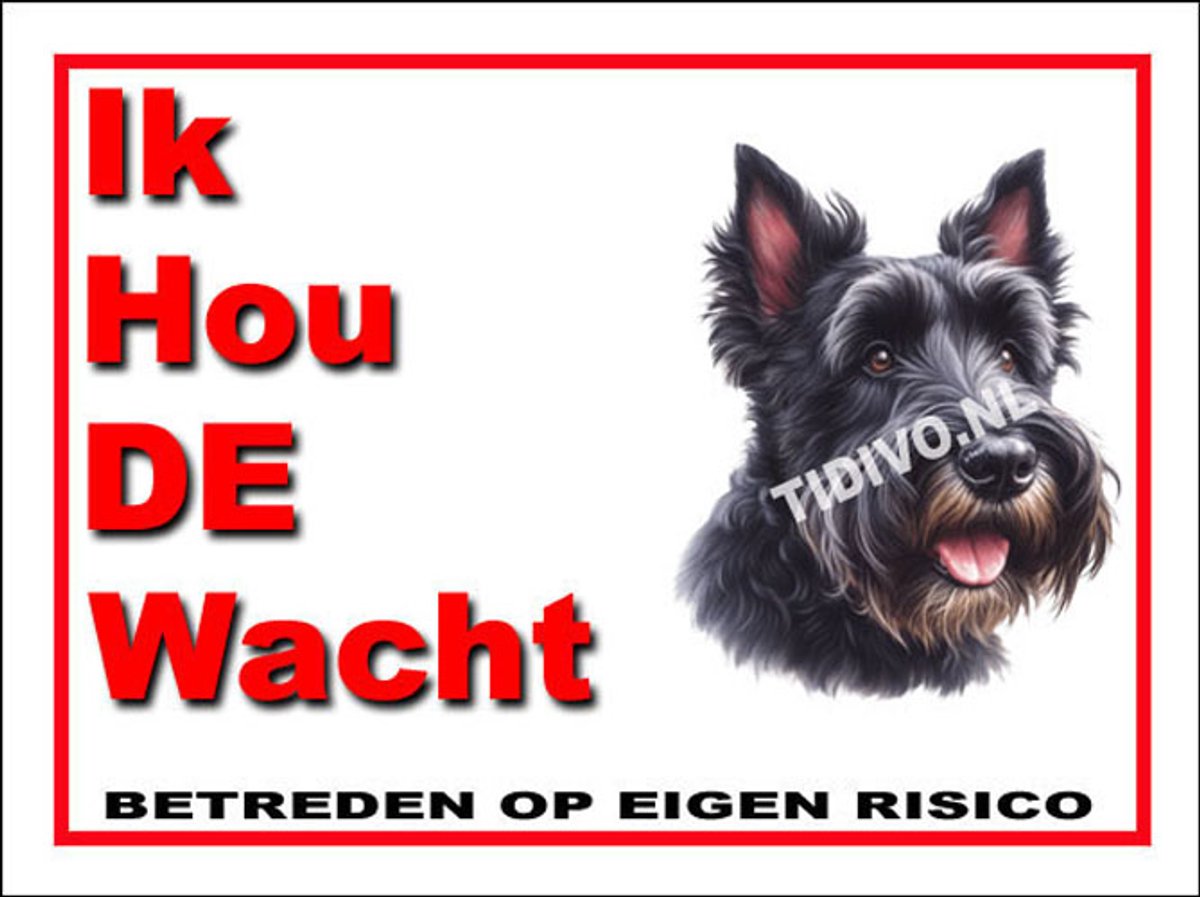 Schotsche Terrier 7