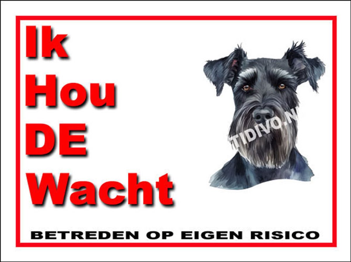 Schnauzer Giant 7