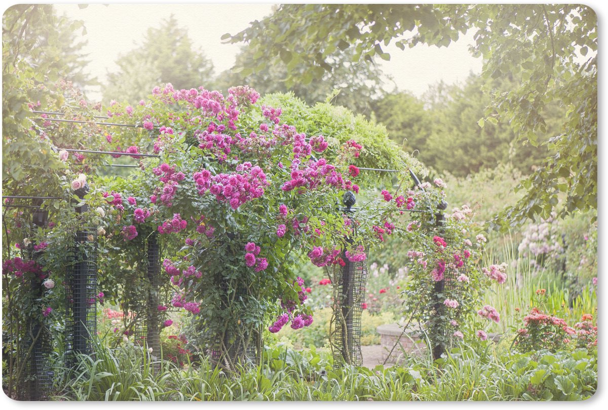 Muismat Roze roos - Mooie roze rozen groeien als planten in de wilde natuur muismat rubber - 27x18 cm - Muismat met foto