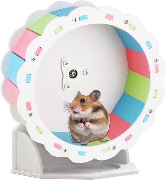 Photo inspiration: Hamster Exercise Wheel Silent Wheel For Endless Running Happiness Photo Inspiration