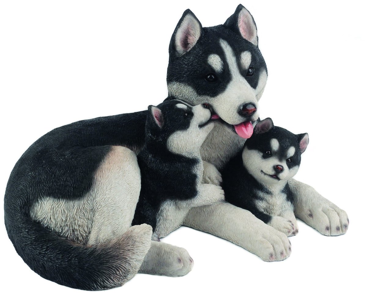 Husky familie