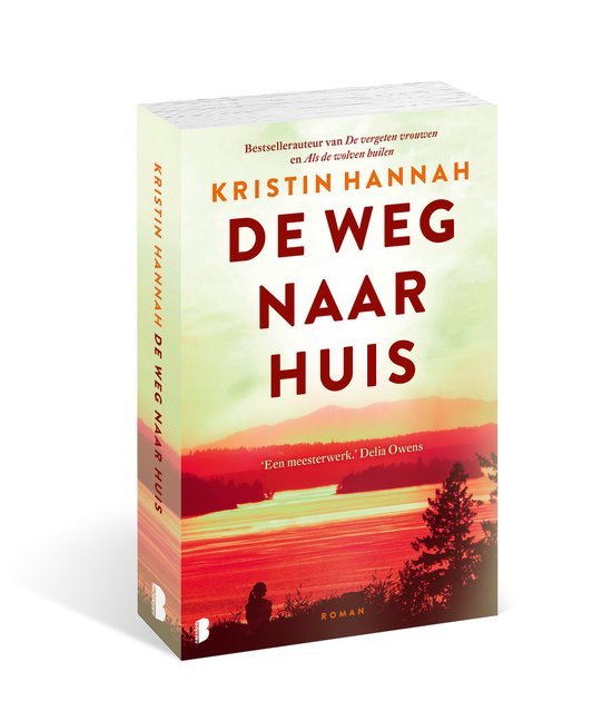 De weg naar huis