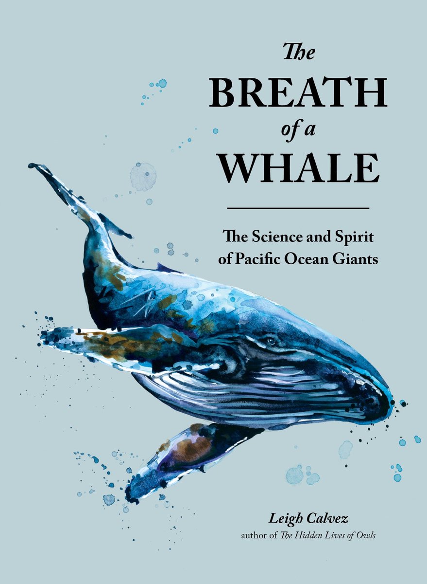 Omslag van The Breath of a Whale