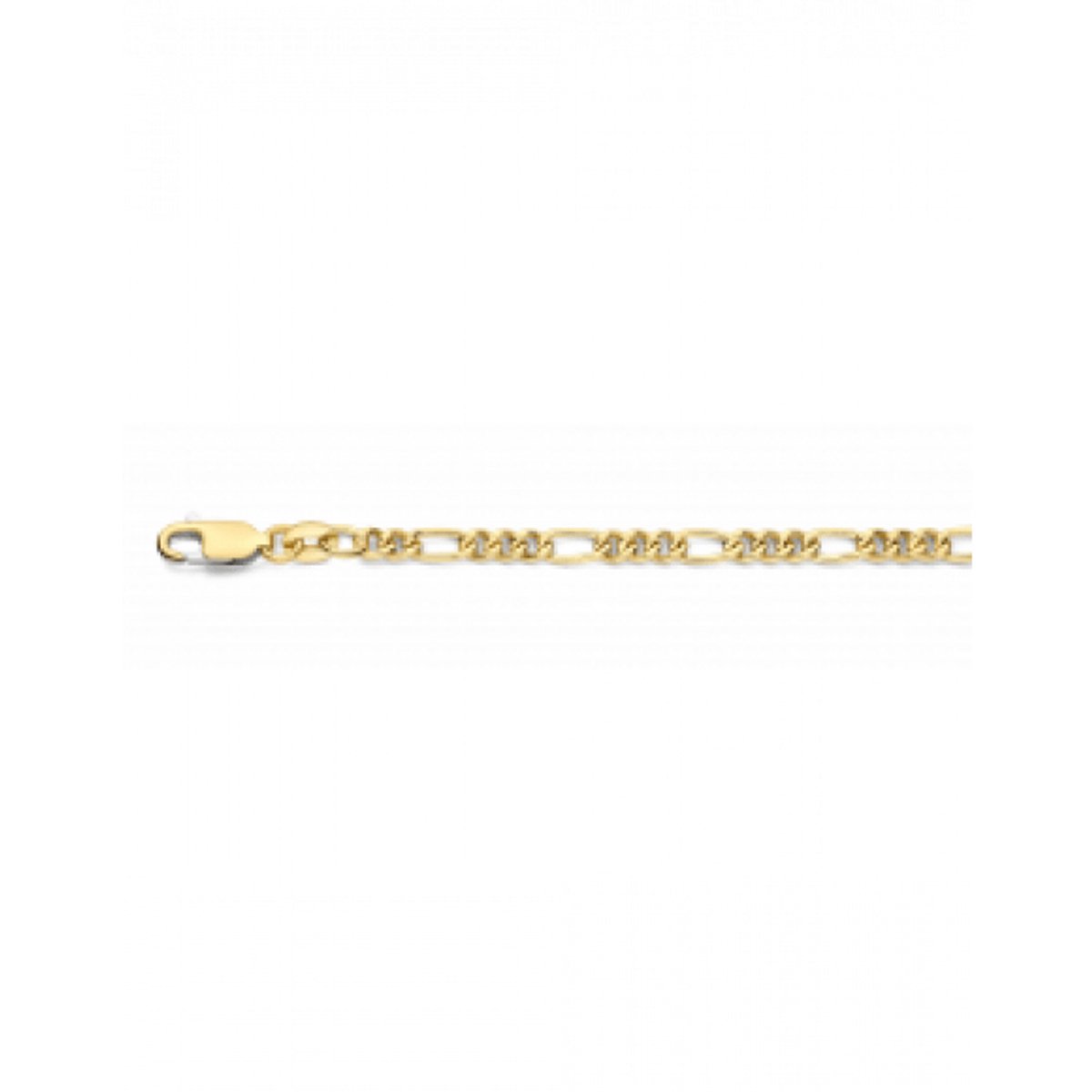 Fjory Ketting 40-F03,160 14 Karaat Goud 60