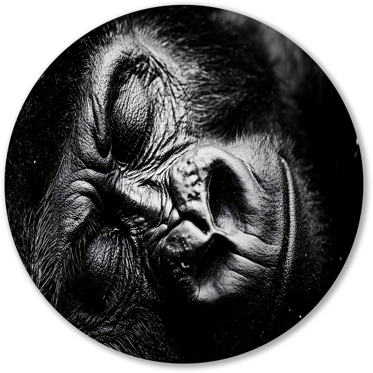 Slapende gorilla in close-up - Gorilla schilderij rond - Rond kunstwerk slaap - Hyperreali