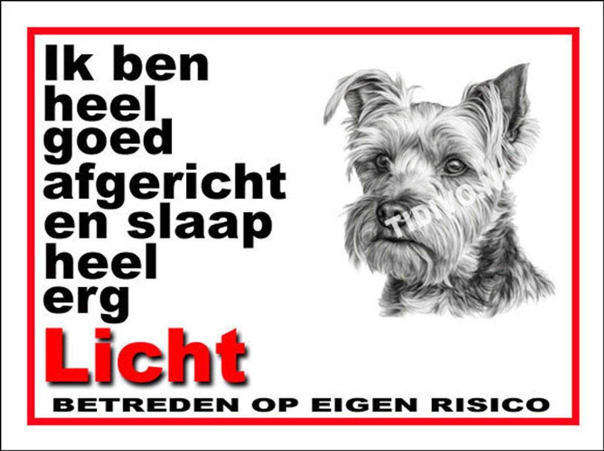 Biewer Terrier 4
