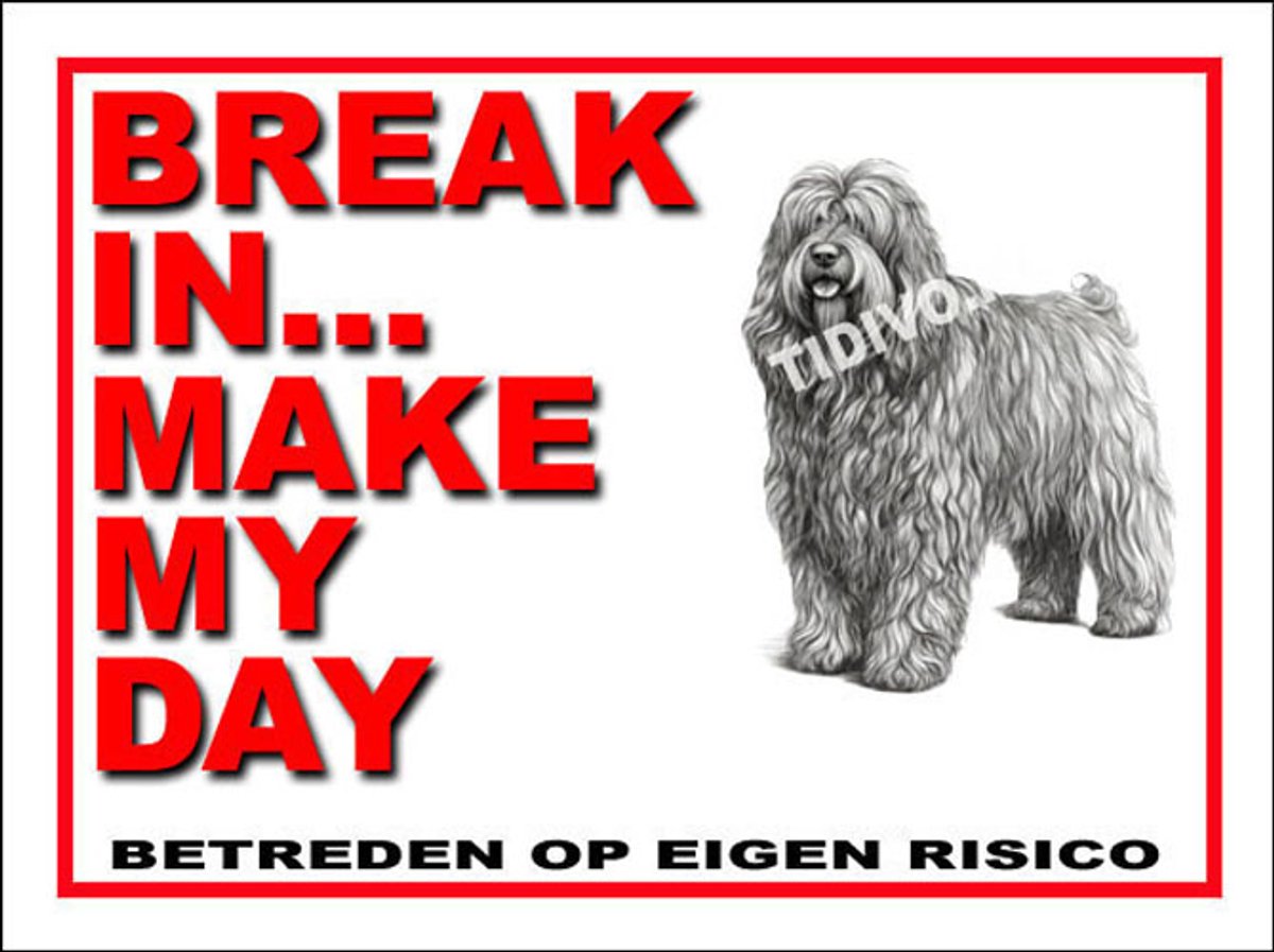 Bergamasco 1
