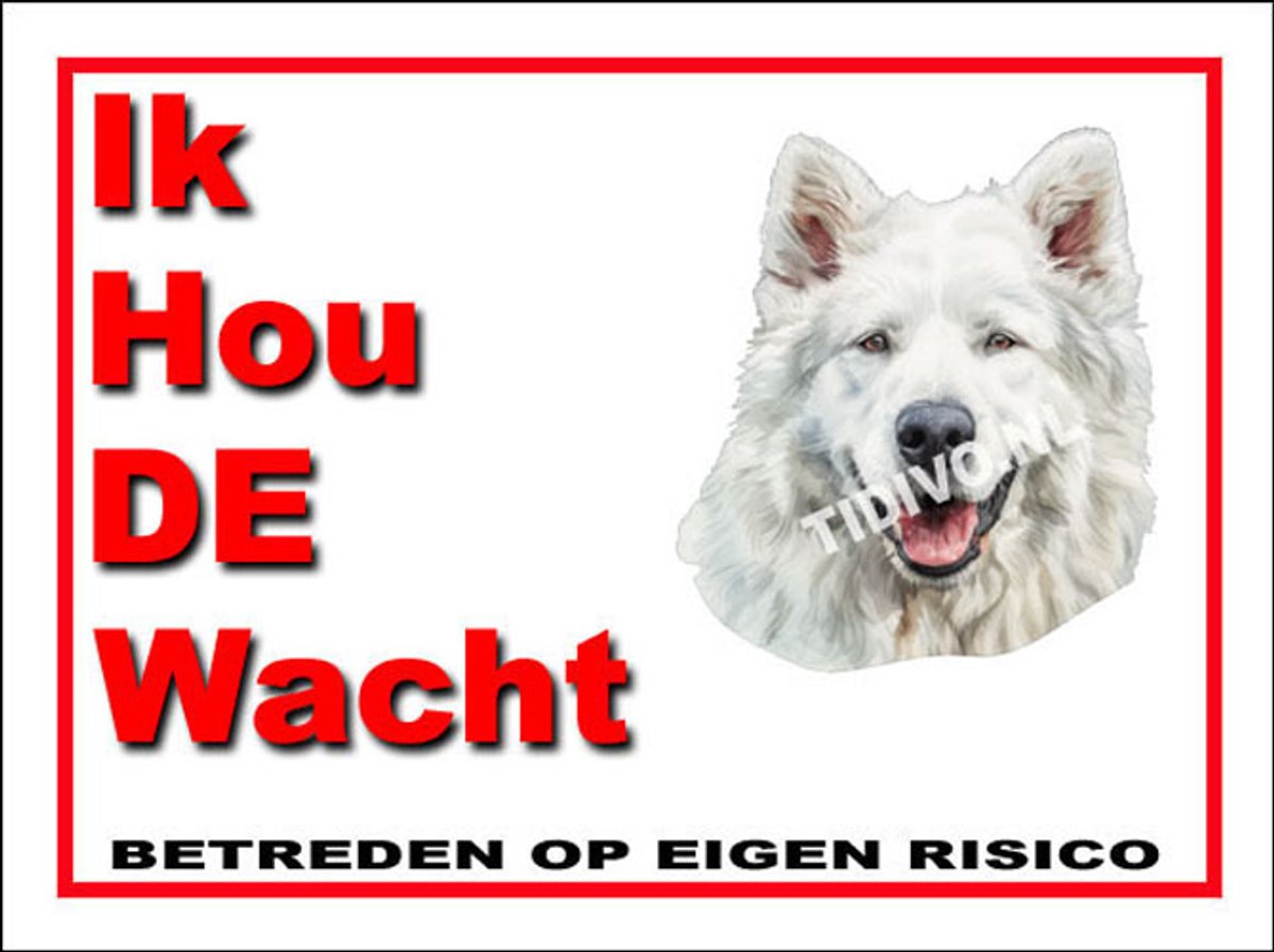 Berghond van de Maremmen 7