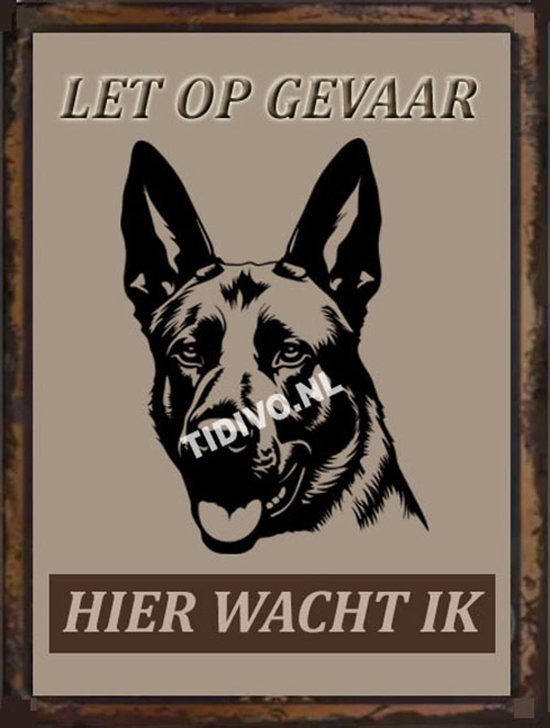 Belgische Herdershond, Mechelse 18