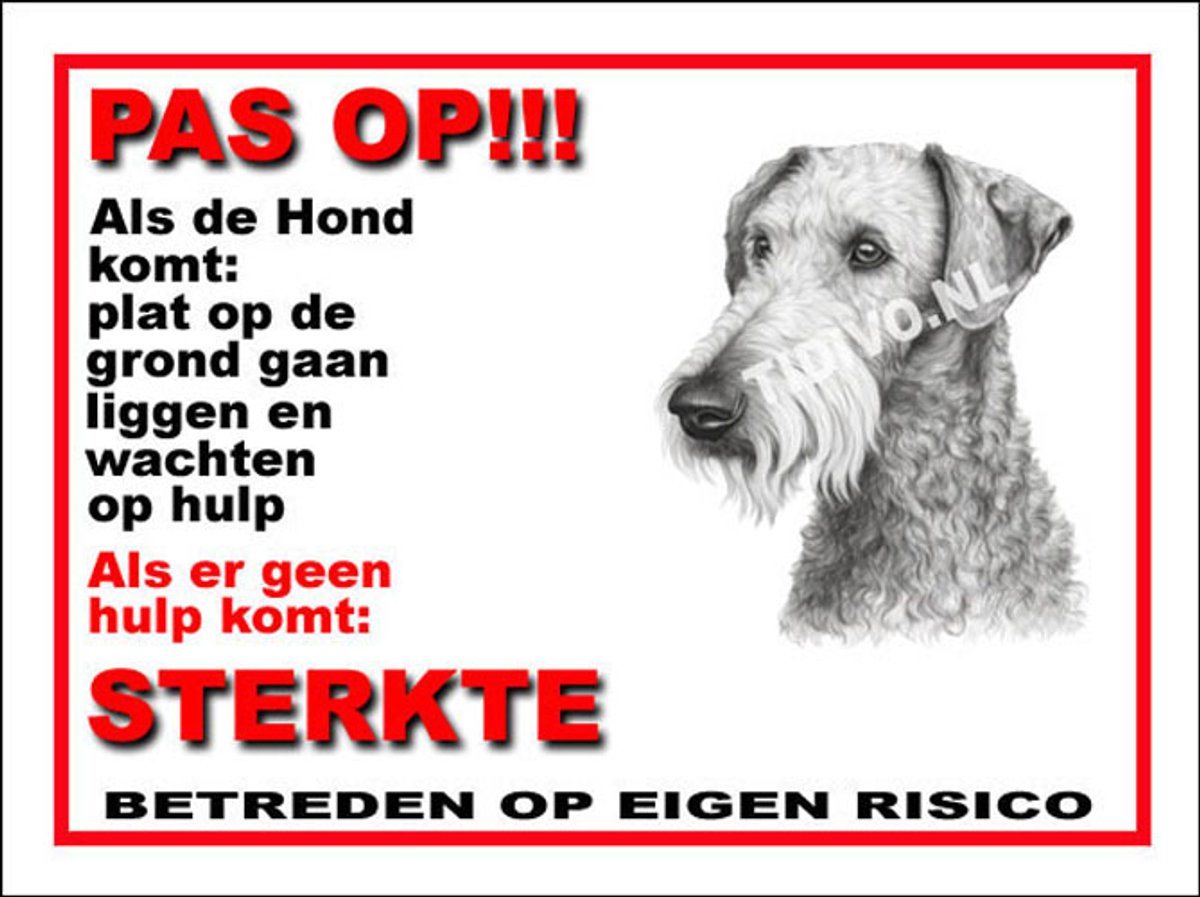Bedlington Terrier 12