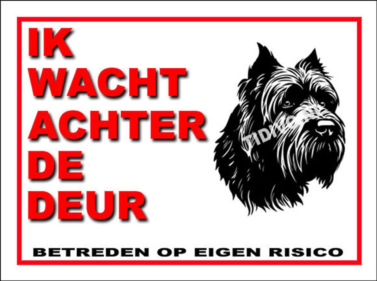 Bouvier 10