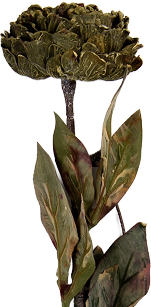 Clayre & Eef Kunstbloem 10x10x65 cm Groen Kunststof
