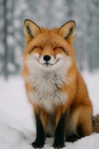 Affiche Renard Roux - Posters Animaux - Poster Enfant - Hiver - Joyeux - Décoration murale Chambre Enfant - Papier 180 grammes - XS6447AZ - Format 30 x 40 cm