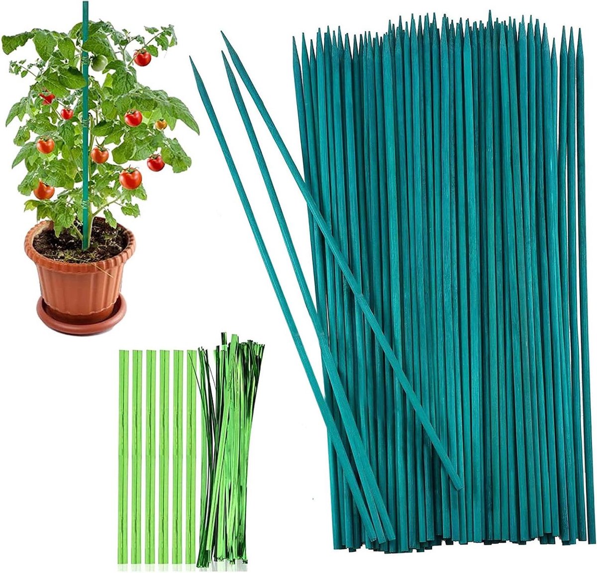 ByShane - Plantenstokken 30 cm voor tuinplanten met metalen bindbanden - Set van 50 stuks