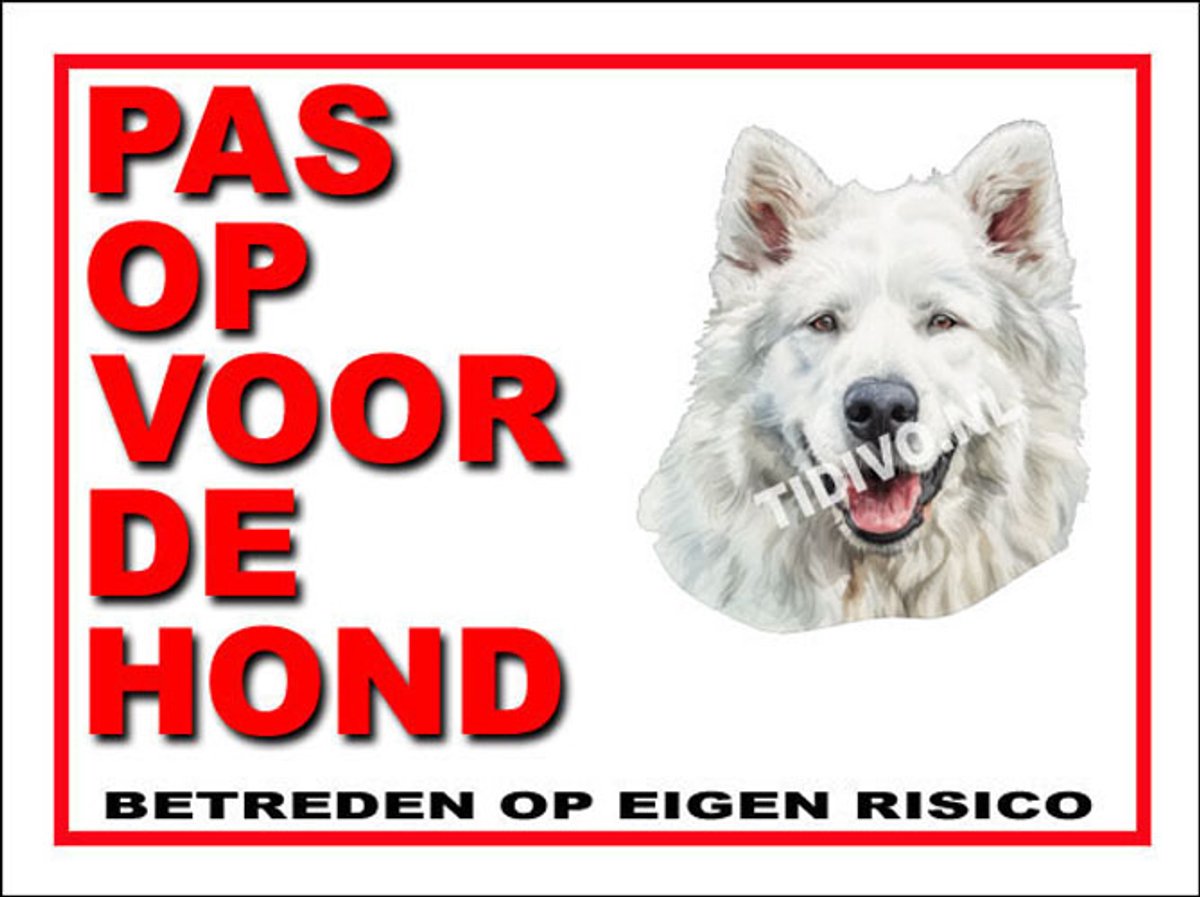 Berghond van de Maremmen 13