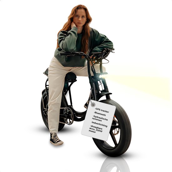 Pulse S.6 Go Fatbike Elec...