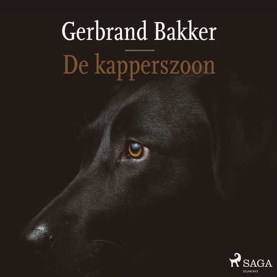 De kapperszoon - cover