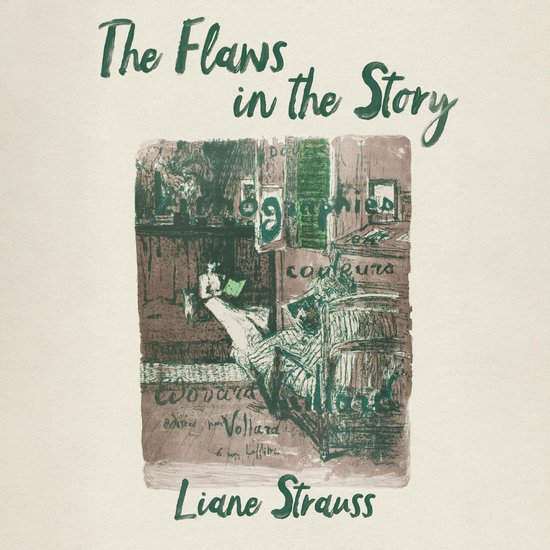 The Flaws in the Story - cover