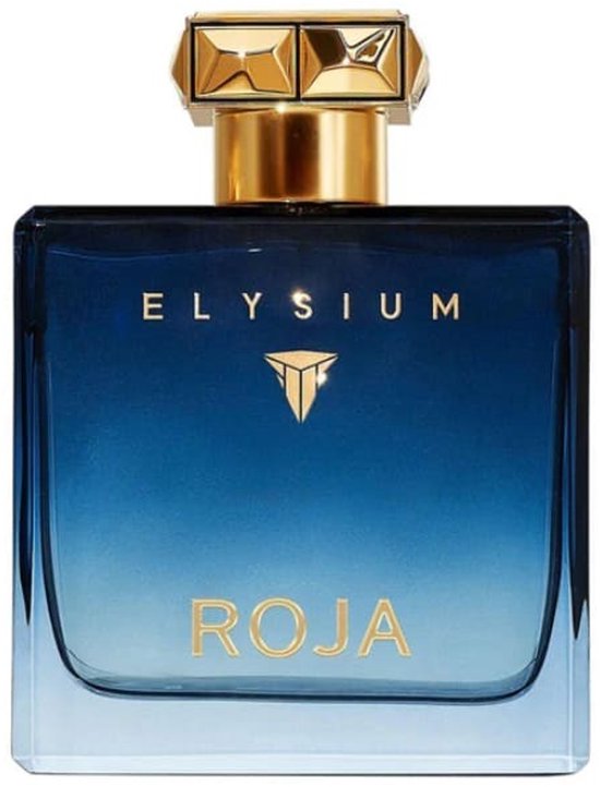 Roja Elysium Pour Homme 100ml EDP