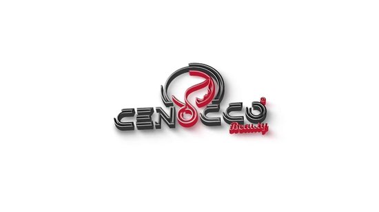 Cenocco Stoom Mop - 8 in 1 - 450 ml - 1300 Watt - Grijs
