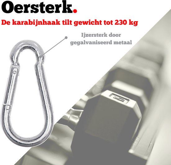 Zilveren karabijnhaak van verzinkt metaal die 230 kg kan tillen.