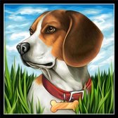 Diamond painting - Hond met bot - Diamond painting volwassenen - Volledige bedekking