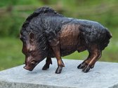 Tuinbeeld - bronzen beeld - Klein everzwijn - 0 cm hoog