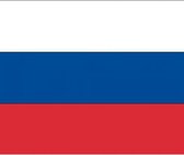 10x Binnen en buiten stickers Rusland 10 cm - Russische vlag stickers - Supporter feestartikelen - Landen decoratie en versieringen