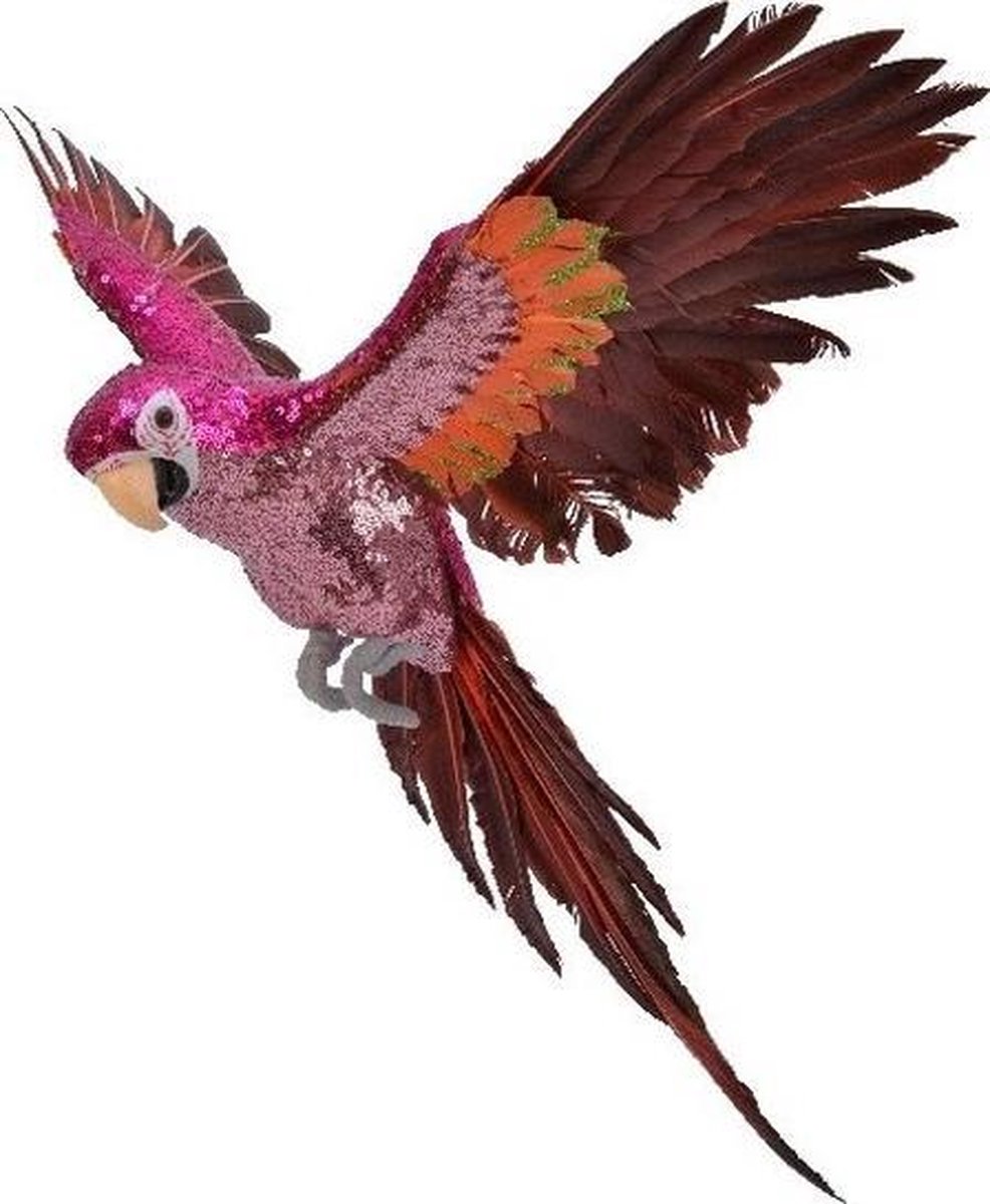 Tropische