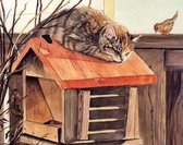 diamond painting 25 x 25 cm kat op vogelhuis