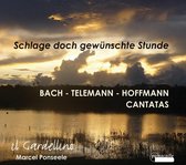 Il Gardelline - Cantatas - Schlage Doch Gewunschte (CD)
