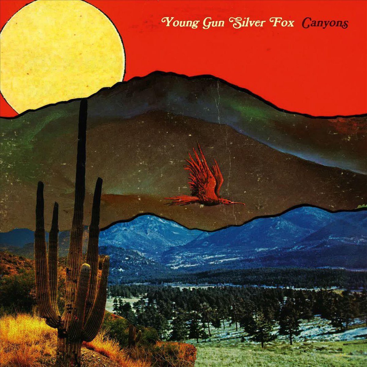 Canyons - Young Gun Silver Fox