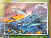 Ravensburger puzzel Kleurrijke Onderwaterwereld - Legpuzzel -  2x 500 stukjes