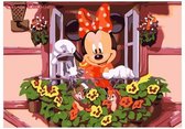 JDBOS ® Schilderen op nummer Volwassenen - Mickey Mouse op het balkon - Bloemen - Paint by numbers - Verven volwassenen - 40x50 cm
